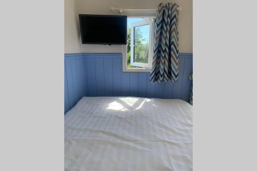 Apple Tree Hut Apartman Tenby Kültér fotó